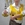 Camisa Chaleco Noa - Imagen 2