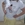 Camiseta Laura Con Micro Lentejuelas - Imagen 1